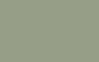 Gris Vert - 7431